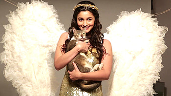 Alia Bhatt Actress Glamsham 1347Ã818 Of Alia Bhatt (57 HD wallpaper